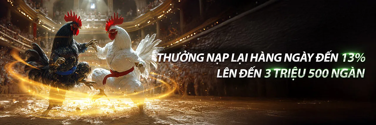 Hình ảnh đá gà trực tiếp Thomo 67 tại trường gà