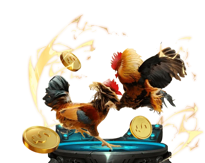 Cách xem đá gà 67 trực tiếp